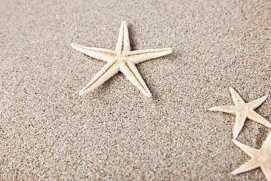 Steam喜加一！免费领取《蒸汽世界：掘进》